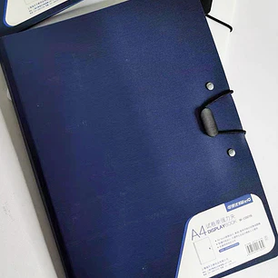 CARPETA C/U