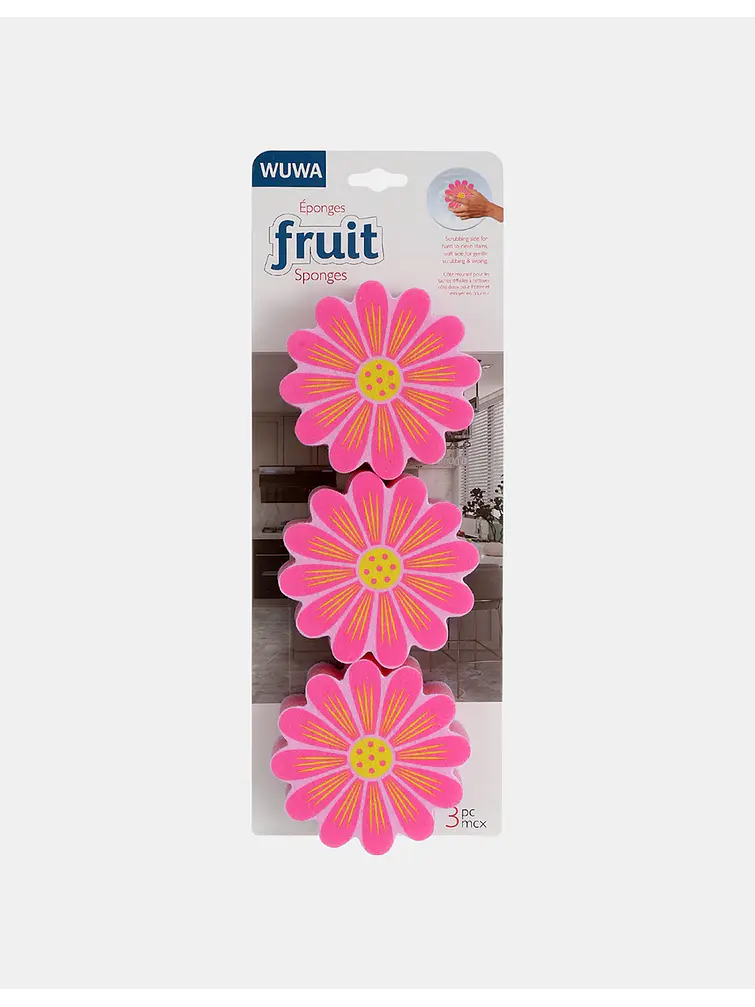 ESPONJA  PCS*3 6