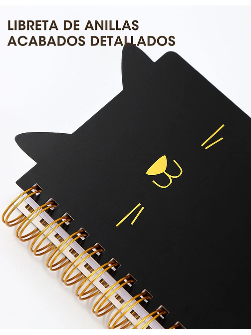 CUADERNO C/U 6