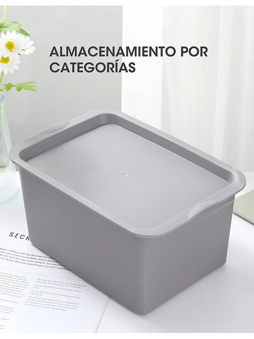 ORGANIZADORES PCS*2 10