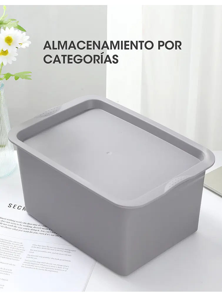 ORGANIZADORES PCS*2 10