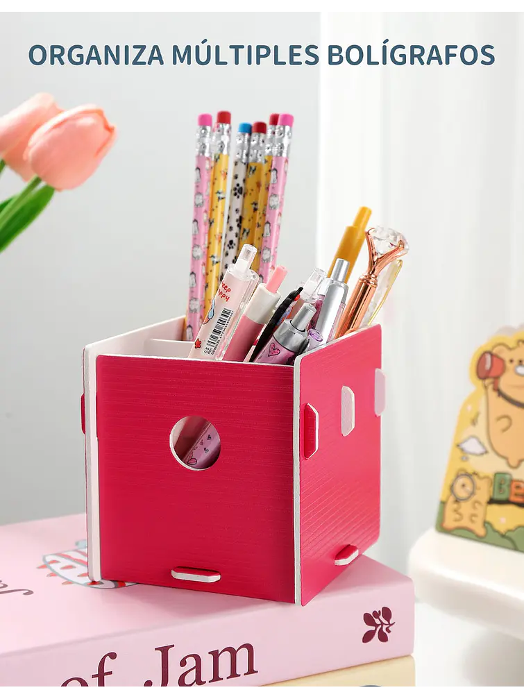 ORGANIZADOR C/U 4