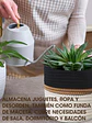 CESTO C/U - Miniatura 2