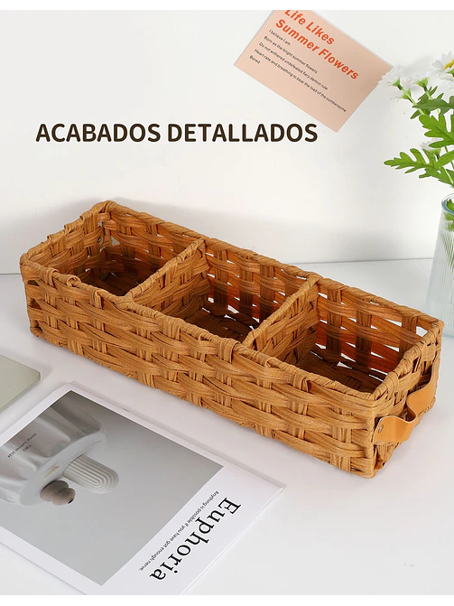 CESTA PCS*2 2