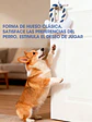 JUGUETE PARA MASCOTA C/U - Miniatura 2