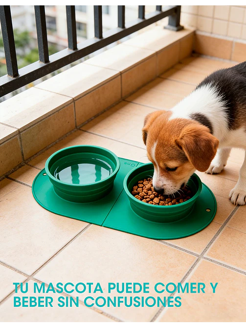 PLATO PARA MASCOTAS C/U 5