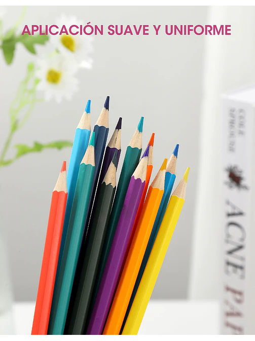 LAPICES DE COLORES PCS*12 11