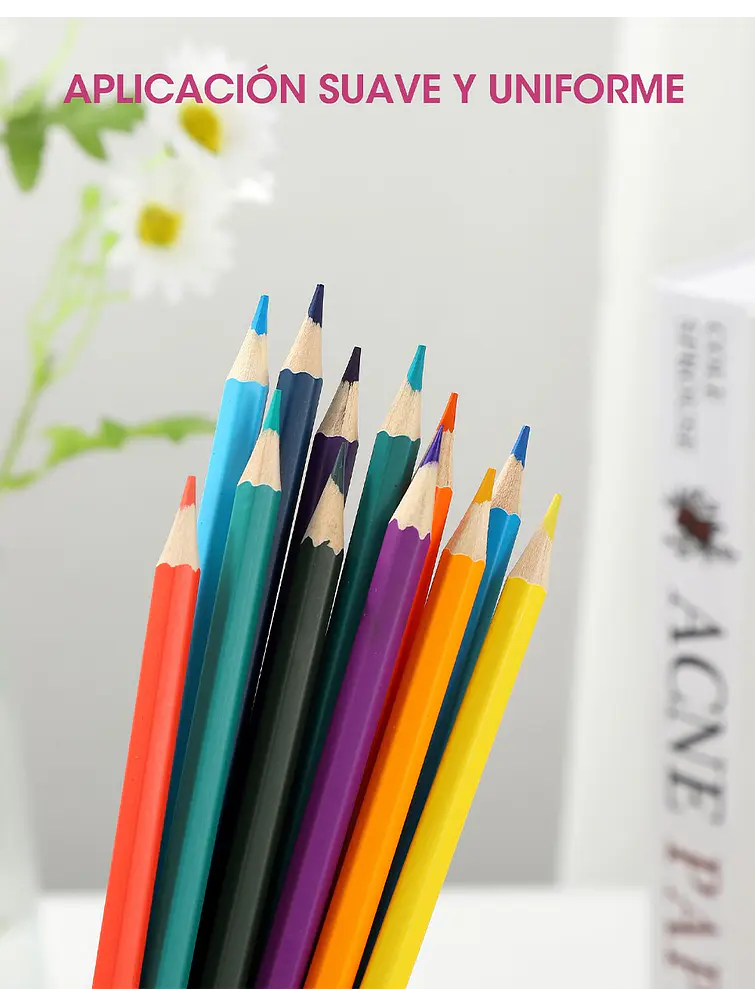 LAPICES DE COLORES PCS*12 11