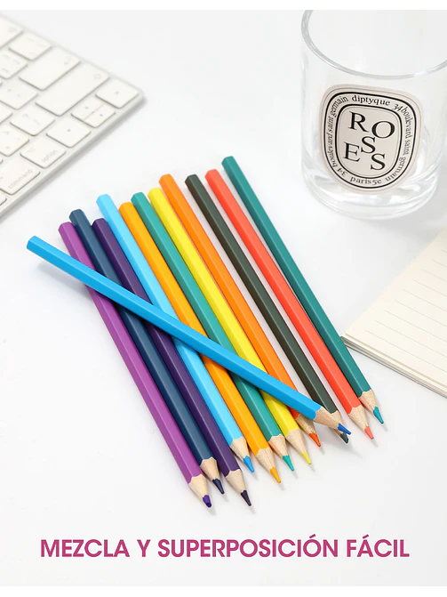 LAPICES DE COLORES PCS*12 12