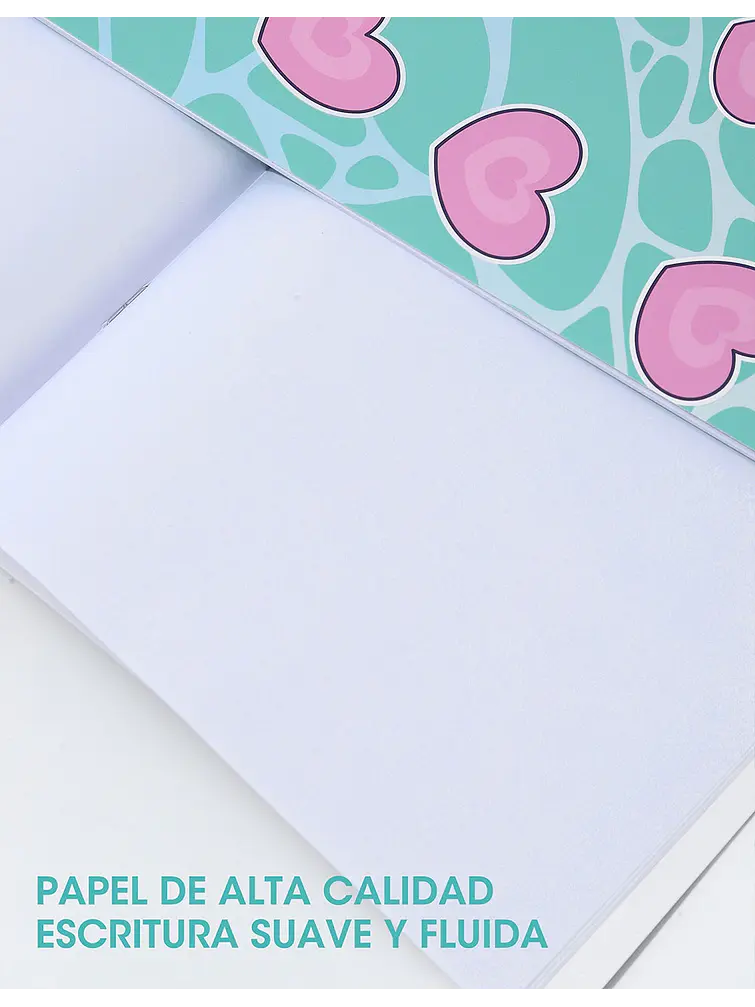 CUADERNO C/U 5