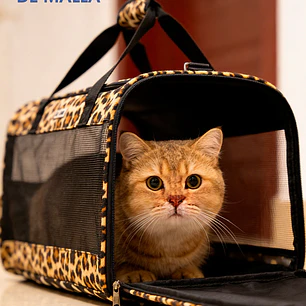 BOLSO PARA MASCOTAS C/U