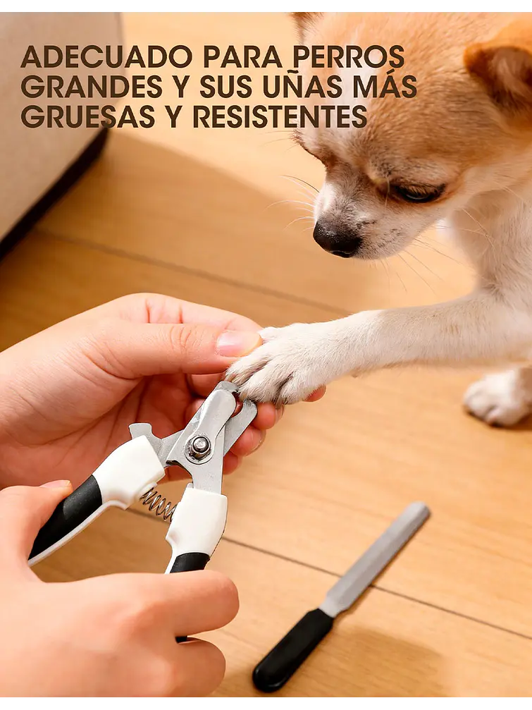 KIT CORTAUÑAS MASCOTAS C/U 4
