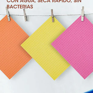 REPASADOR PCS*10
