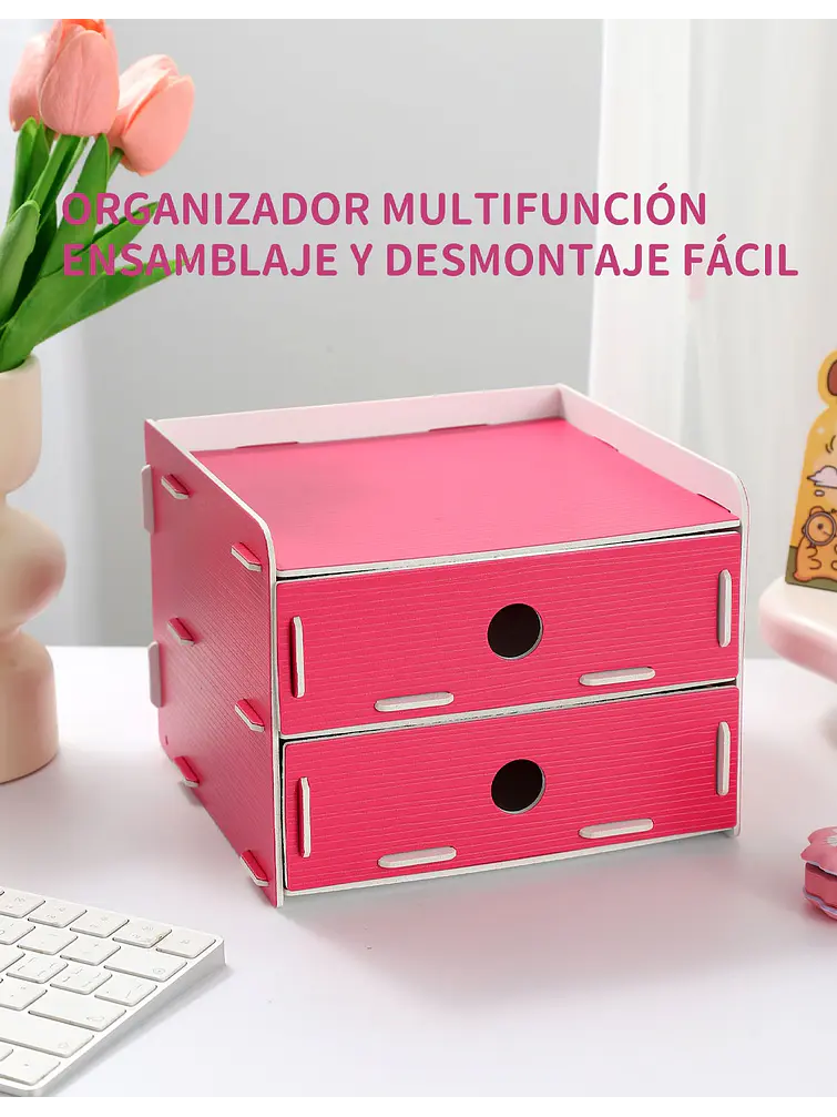 ORGANIZADOR C/U 6