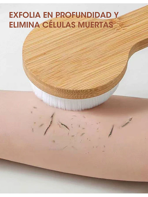 CEPILLO CORPORAL C/U 6