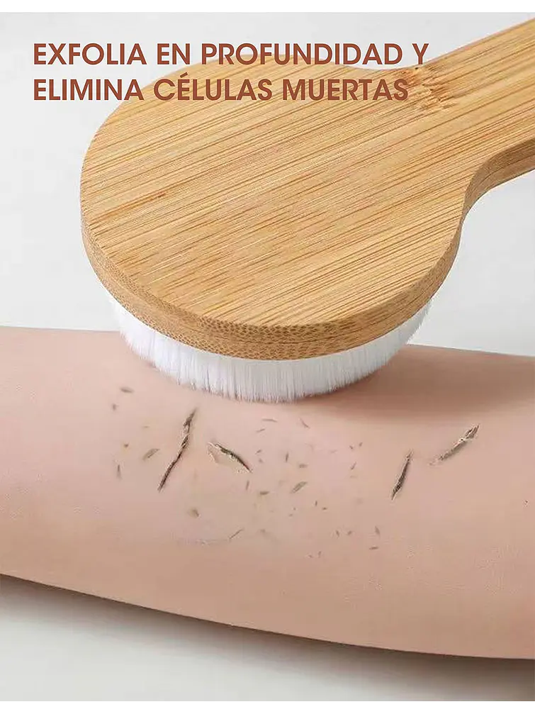CEPILLO CORPORAL C/U 6