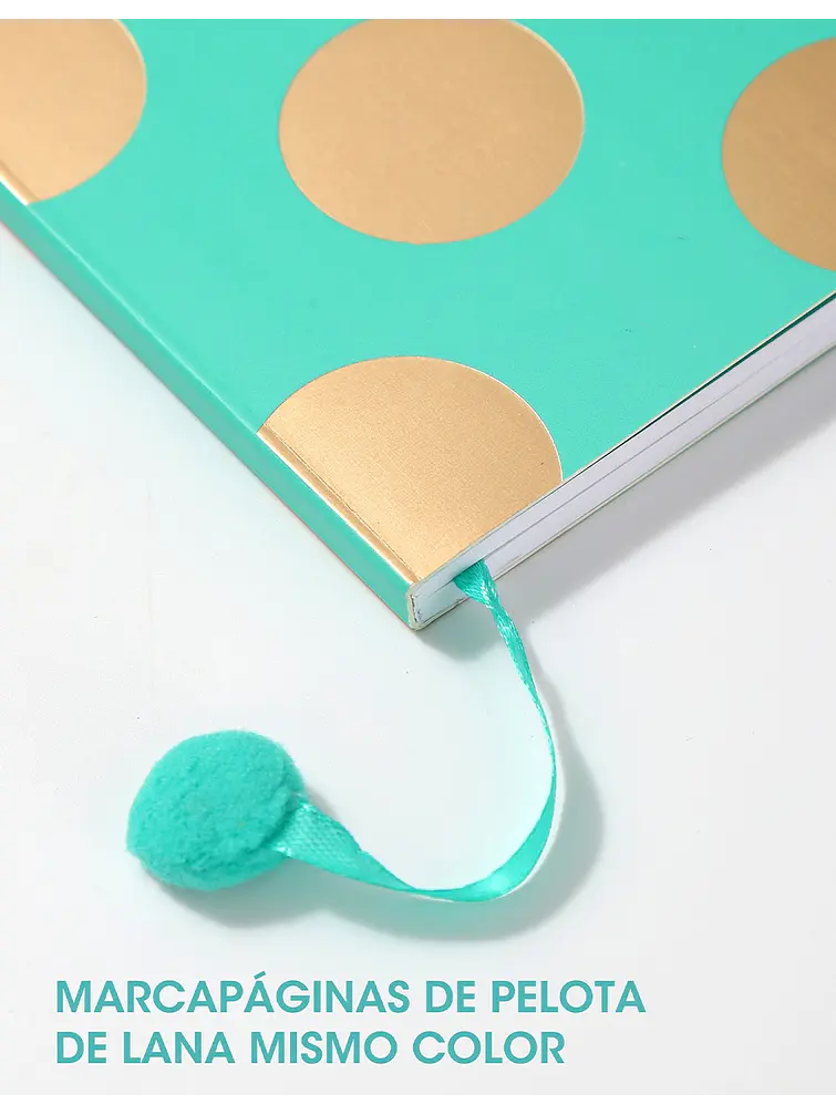 CUADERNO C/U 6