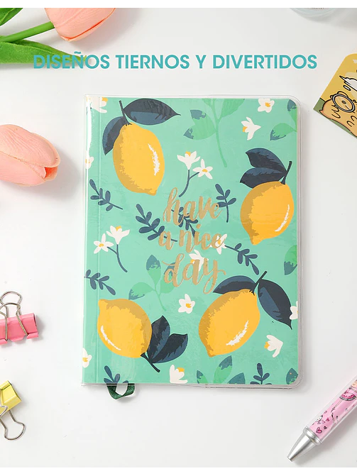 CUADERNO C/U 6