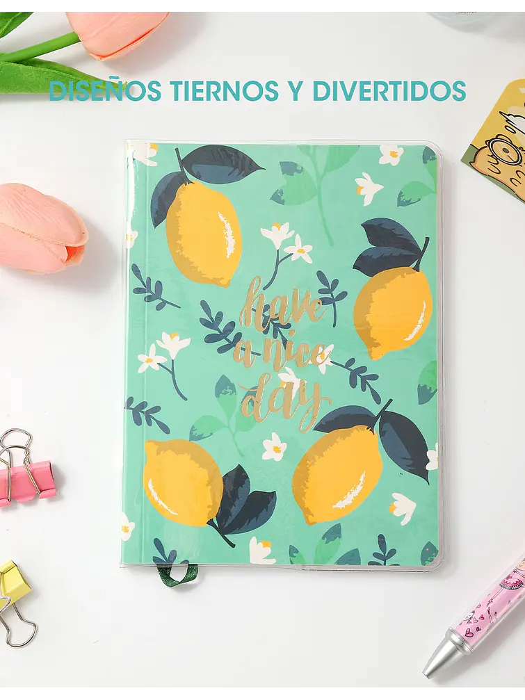 CUADERNO C/U 6