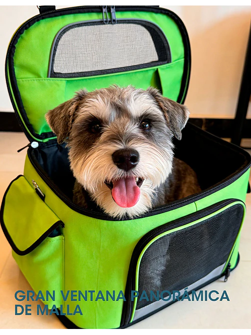 BOLSO PARA MASCOTAS C/U 2