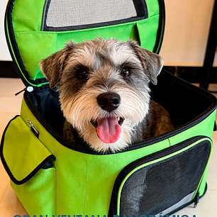 BOLSO PARA MASCOTAS C/U