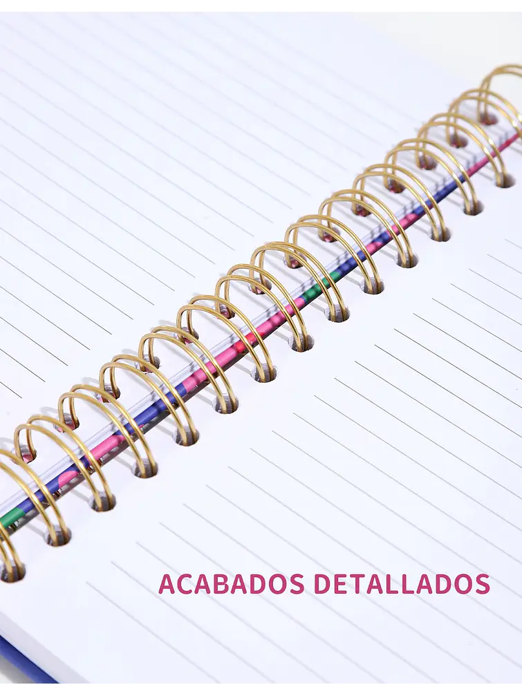 SET DE CUADERNO + NOTAS ADHESIVAS C/U 13