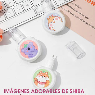 CORRECTOR LIQUIDO C/U
