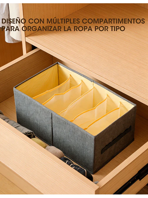 ORGANIZADOR C/U 2