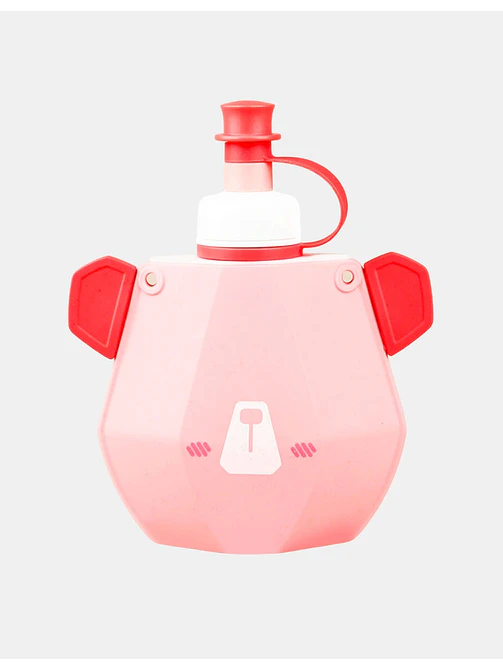 BOTELLA 300ML C/U 1