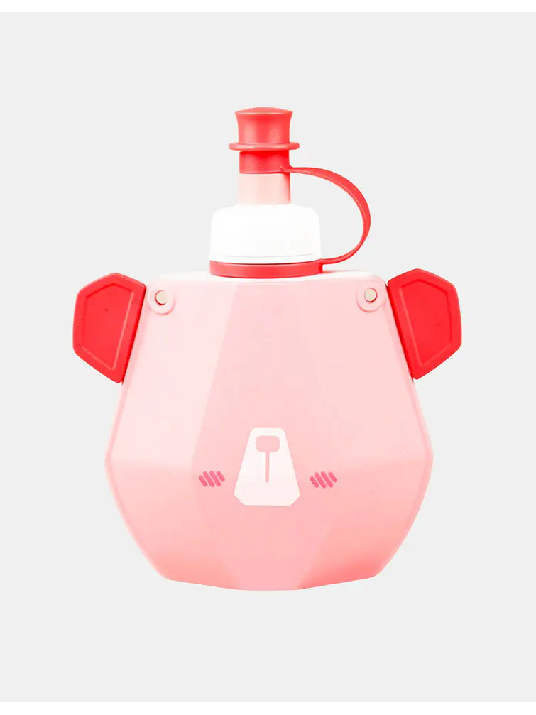BOTELLA 300ML C/U 1