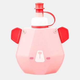 BOTELLA 300ML C/U