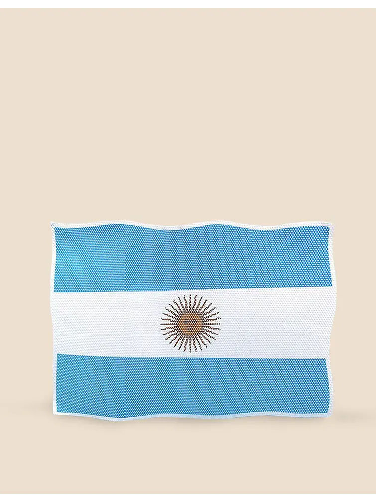 STICKER BANDERA DE ARGENTINA 24.7*33.5 C/U 3