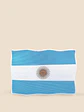 STICKER BANDERA DE ARGENTINA 24.7*33.5 C/U - Miniatura 3