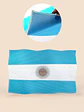 STICKER BANDERA DE ARGENTINA 24.7*33.5 C/U - Miniatura 2