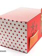 CAJA PLEGABLE DIY 22*14.6*1.3CM - Miniatura 2