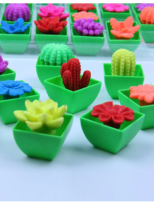 CACTUS GRANDE CRECE AGUA PCS*48                      4