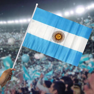 BANDERA ARGENTINA CON MANGO 30*45 C/U