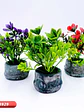 OFERTA - PLANTA ARTIFICIAL CON MACETA C/U - Miniatura 3