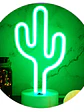 LAMPARA FLUORESCENTE CACTUS C/U - Miniatura 1