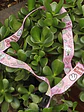 COLLAR PORTACREDENCIAL PCS*6                       - Miniatura 2