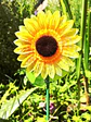 TUTOR PARA MACETA LED GIRASOL C/U - Miniatura 1