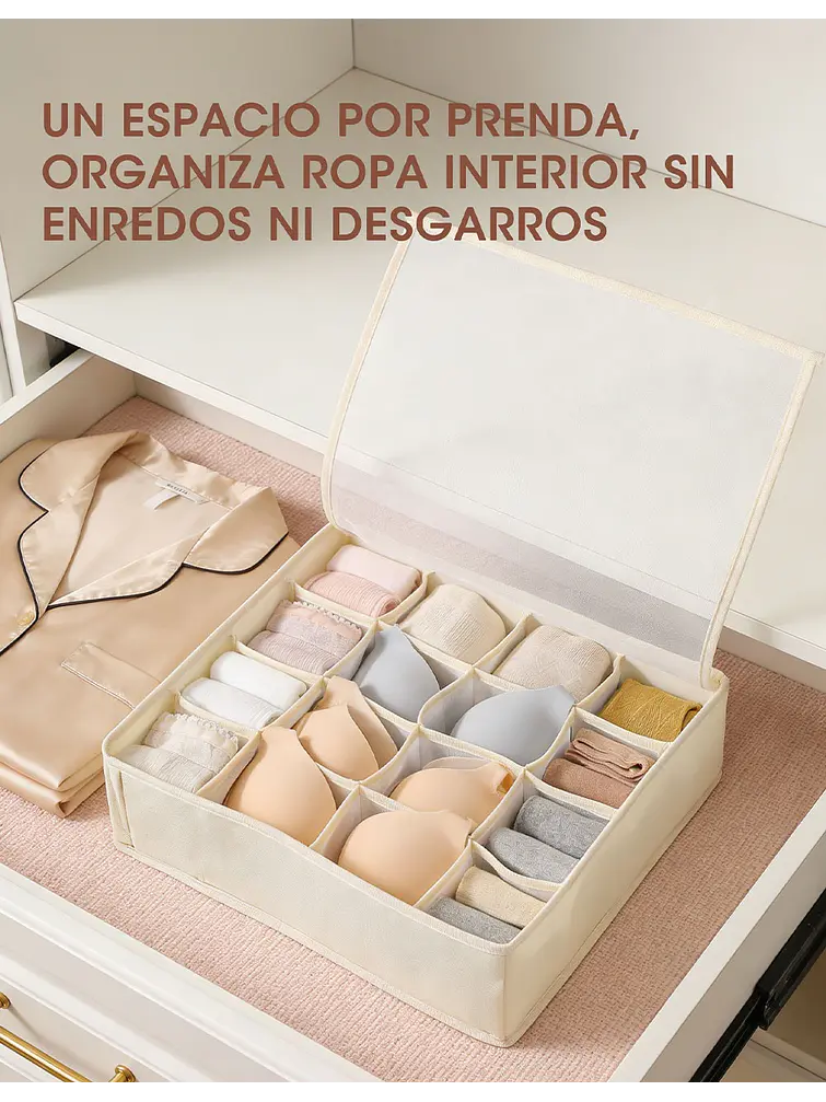 ORGANIZADOR C/U 2