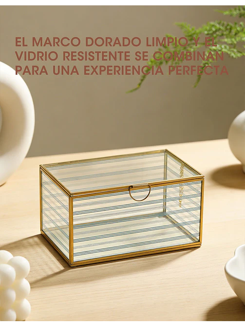 ORGANIZADOR C/U 6