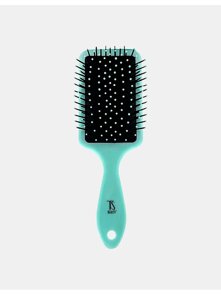 CEPILLO PARA CABELLO VERDE CON ESTAMPADO C/U       1