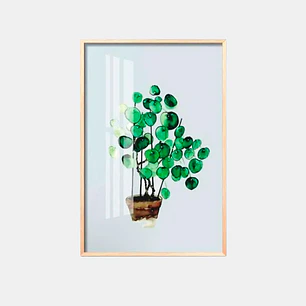 CUADRO DECORATIVO 23*34 C/U