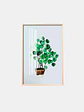 CUADRO DECORATIVO 23*34 C/U - Miniatura 1