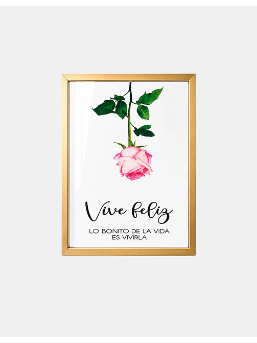 CUADRO DECORATIVO 32*42 C/U 1