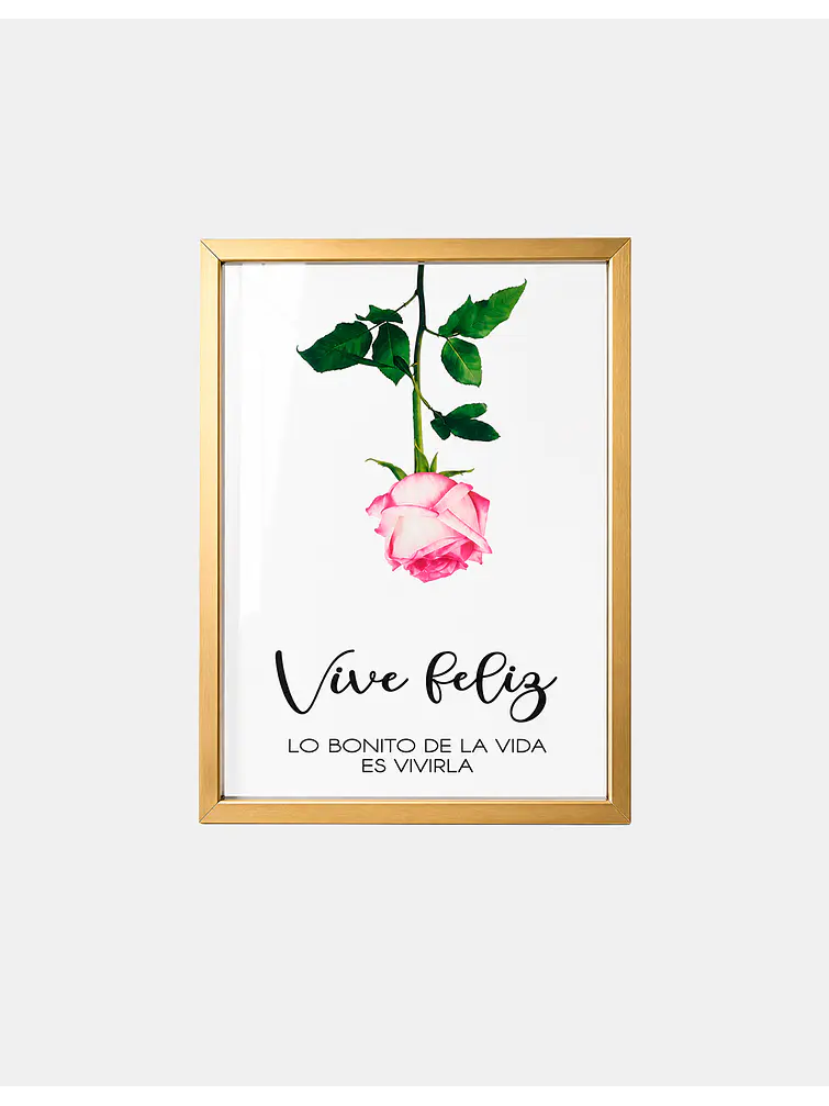 CUADRO DECORATIVO 32*42 C/U 1