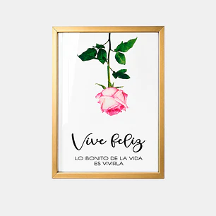 CUADRO DECORATIVO 32*42 C/U
