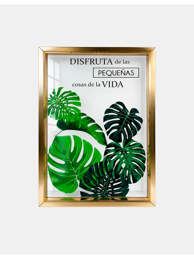 CUADRO DECORATIVO 29*39 C/U 1